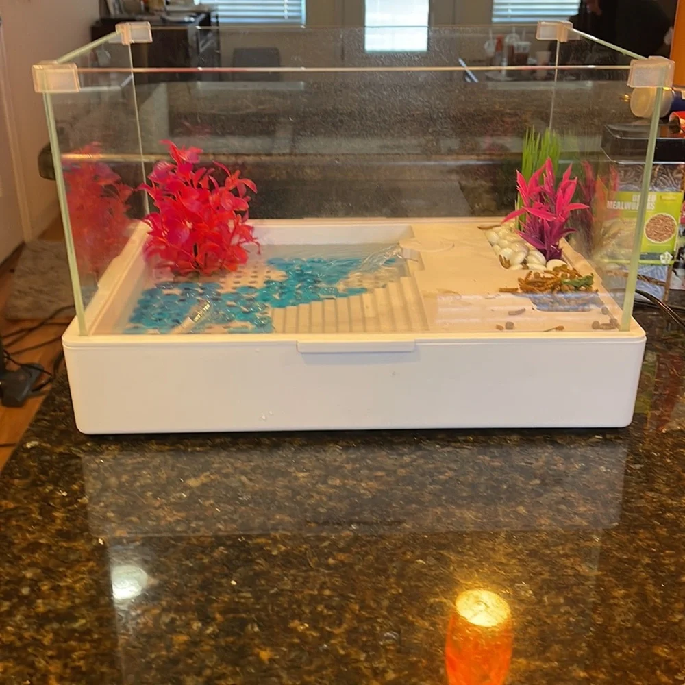 Small turtle tank. (Dimensions are on picture)
